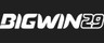 bigwin 29 casino