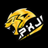 PXJ