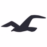 The Hollister Style Hub: Madison E
