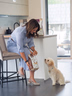 Amazon.de: bosch Tiernahrung: Plus/Soft