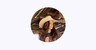 Apple Music