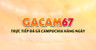 GACAM67 ⚡️ TRỰC TIẾP ĐÁ GÀ THOMO HÔM NAY CÓ BÌNH LUẬN VIÊN