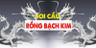 Rồng Bạch Kim - Địa Chỉ Soi Cầu Chính Xác Cùng Thành Viên