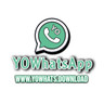 Telegram: Contact @yowhatsdownload