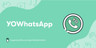 YOWhatsApp - Buymeacoffee