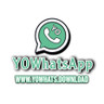 YOWhatApp - YouTube