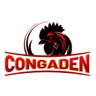 https://twitter.com/congaden_top