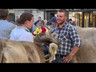 Viehausstellung Einsiedeln, 26. September 2023 | YouTube