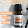 Get $10 Off Revive oils