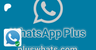 WhatsApp Plus | Blue WhatsApp Plus Download APK 2023 Latest version Free  | Patreon
