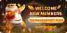 Winpope | Live Casino & Slot - Winpope Casino