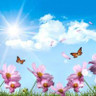 WordPress; Another Place To Find My Blog