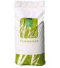 Rasensamen Trockenresistent