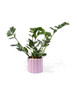bloempot Ø12x13cm keramiek ribbel lila - HEMA