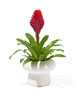 bloempot Ø11.7x9 wit  - HEMA