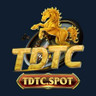 https://www.youtube.com/@tdtcspot