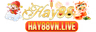 HAYWIN