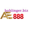 https://bohlinger.biz/