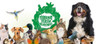 Tierheim Aschaffenburg | Tierschutzverein Aschaffenburg und Umgebung e.V.