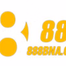 888B