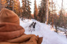 6 Of The Best Winter Activities In Fairbanks Alaska