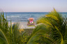How To Experience The Best Of Miami Beach