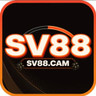 Sv88
