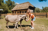 Nieuwe blog online: vakantiepark Dierenbos