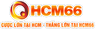 https://hcm666.club/