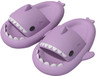 Shark Slides