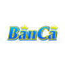https://codeberg.org/banca30bz