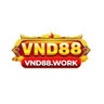 VND88