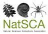 Top NatSCA Blogs of 2023 | NatSCA
