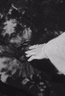 Flow into Stillness: Yoga, Tea & Sound