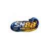 SN88 - YouTube