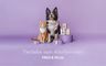 FRED & FELIA - Premium Nassfutter für Hunde & Katzen / -30% Rabattcode: AFYLTL9E