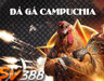 iBet88 | Vua Nhà Cái Đá Gà Uy Tín Số 1 Việt Nam