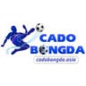 cadobongdaasia