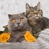 Michu & Nela - YouTube Kanal